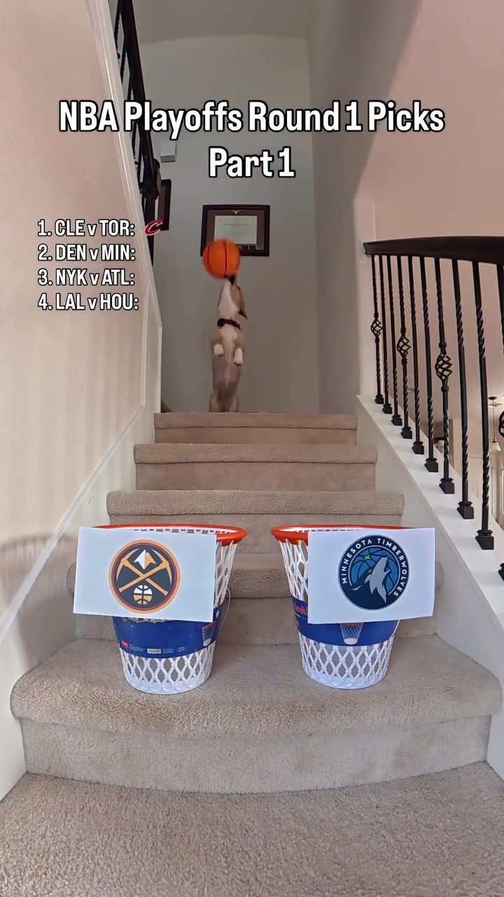 [球迷看点]萌狗预测季后赛第一天获胜的队伍：骑士森林狼尼克斯火箭