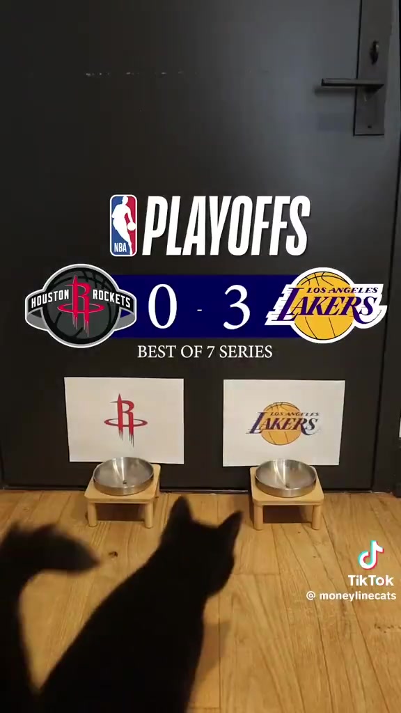 [视频/集锦]这么懂球吗网红小猫此前预测湖人4-0淘汰火箭！