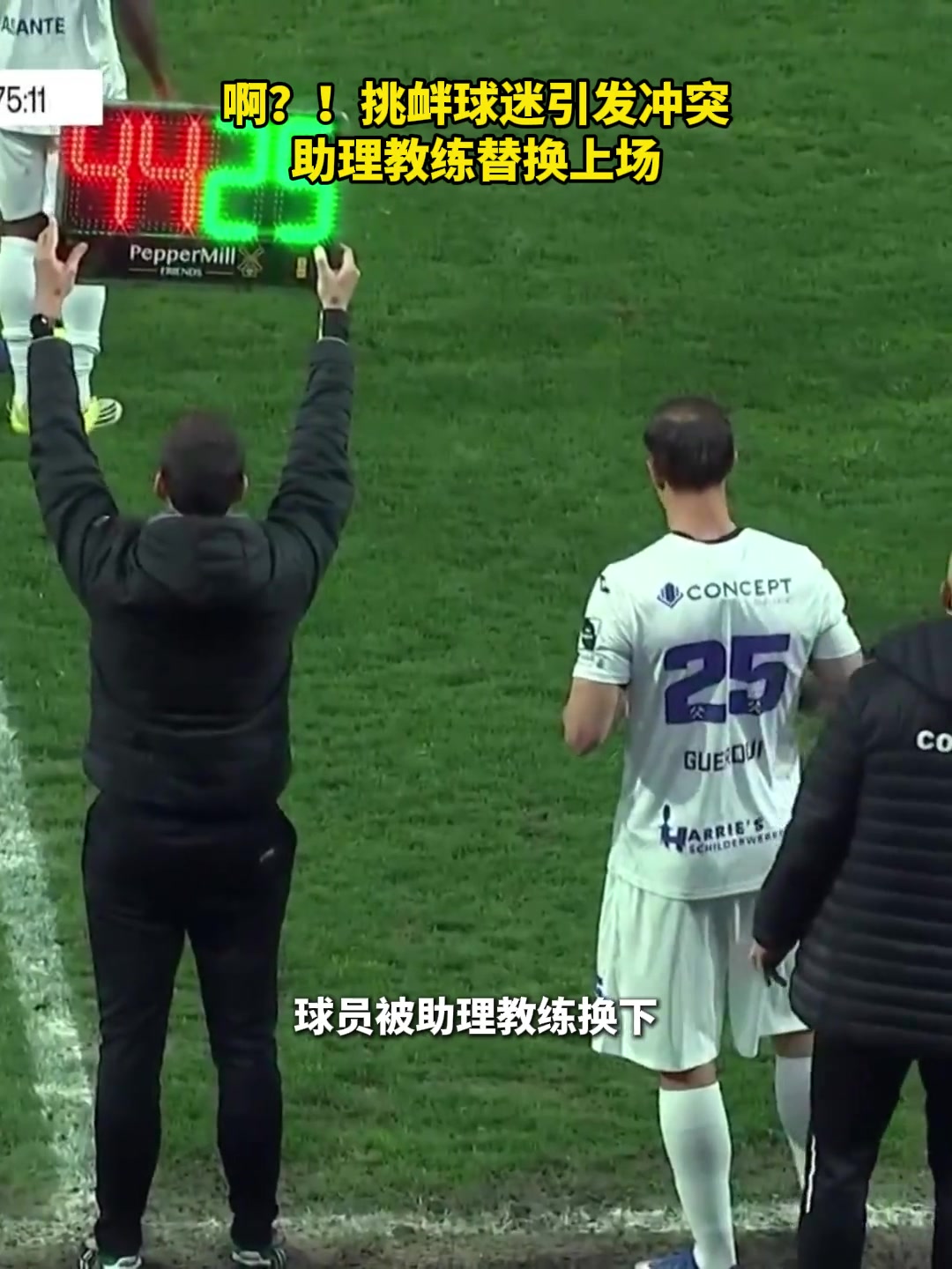 [集锦]挑衅球迷引发冲突！球员被助理教练替换上场