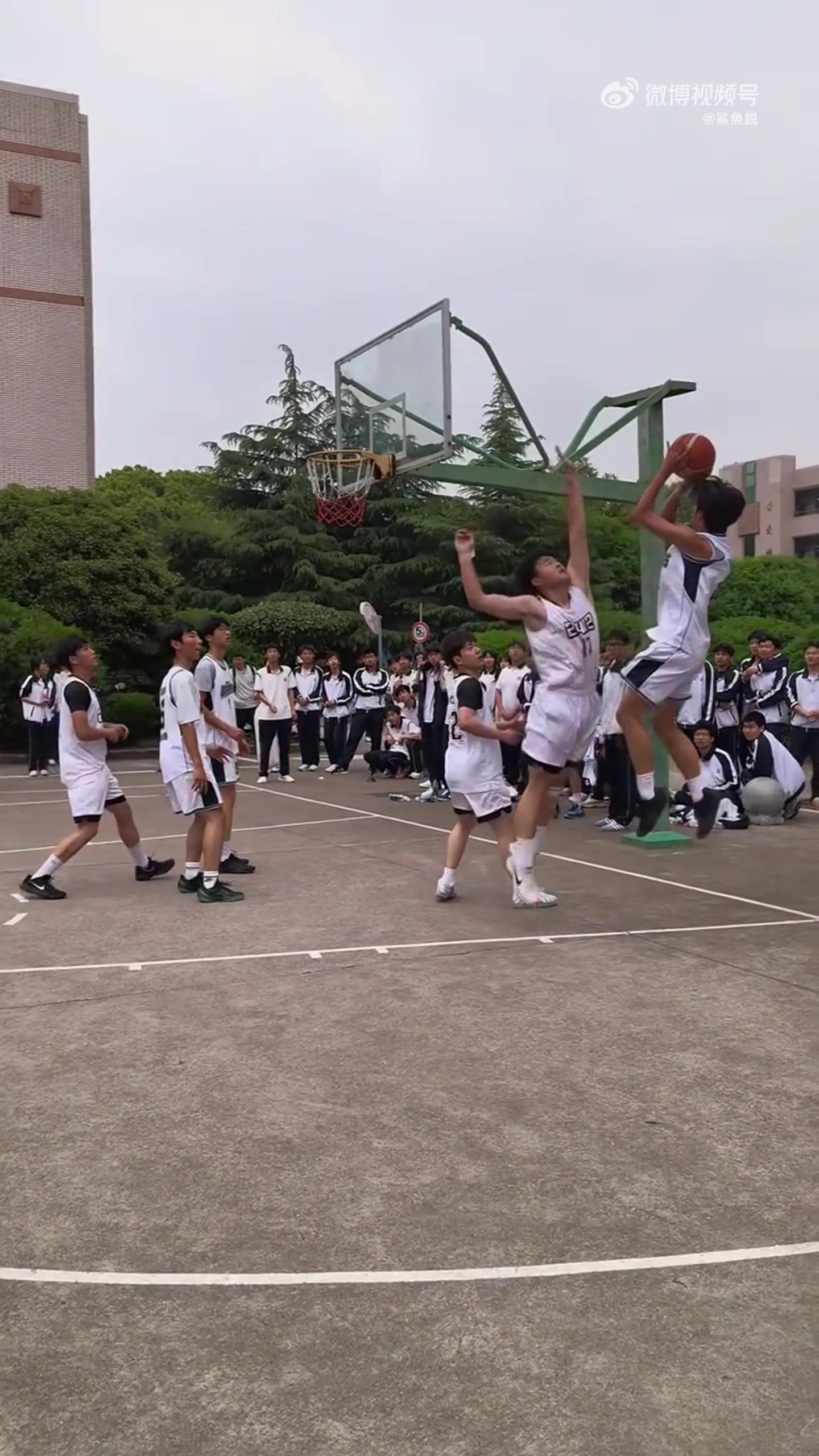 [球迷看点]是篮球，把这两种情绪演绎到淋漓尽致！