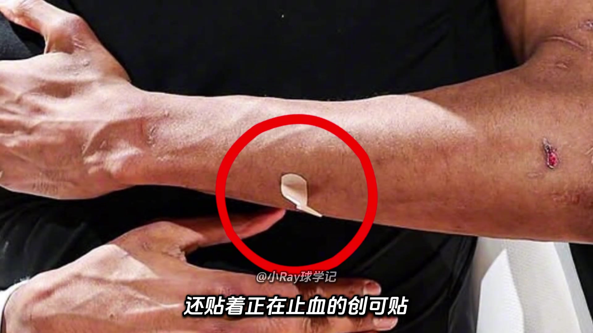 [今日必看集锦]忍无可忍肘击里德，文班昨日在场上受到多少委屈？