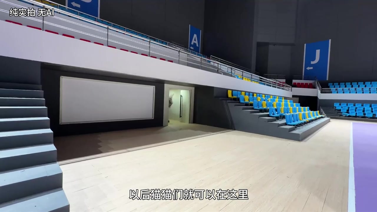 [集锦]一开始还以为AI手工大佬花三个月时间给猫猫做了个篮球馆