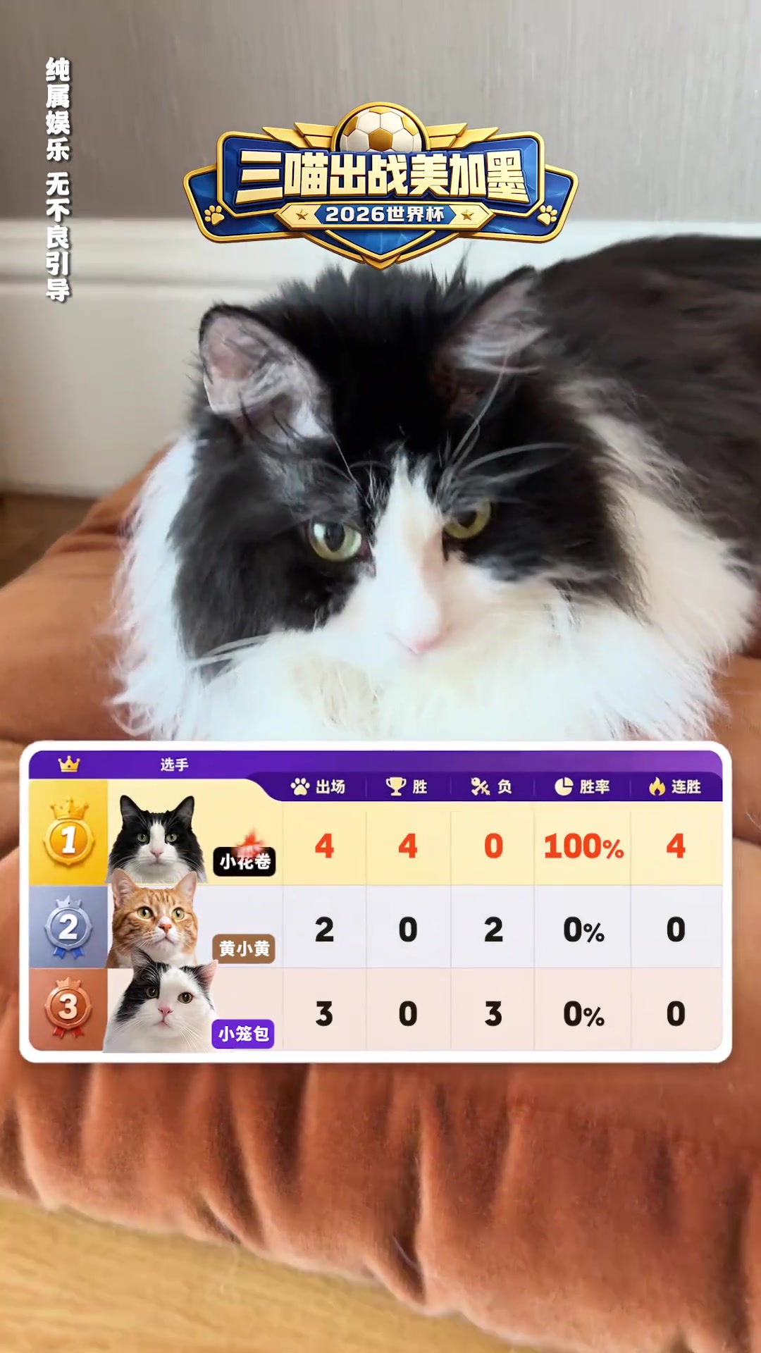 【赛事短片】詹俊的猫预测世界杯赛果100⚾%准确，今晚预测法