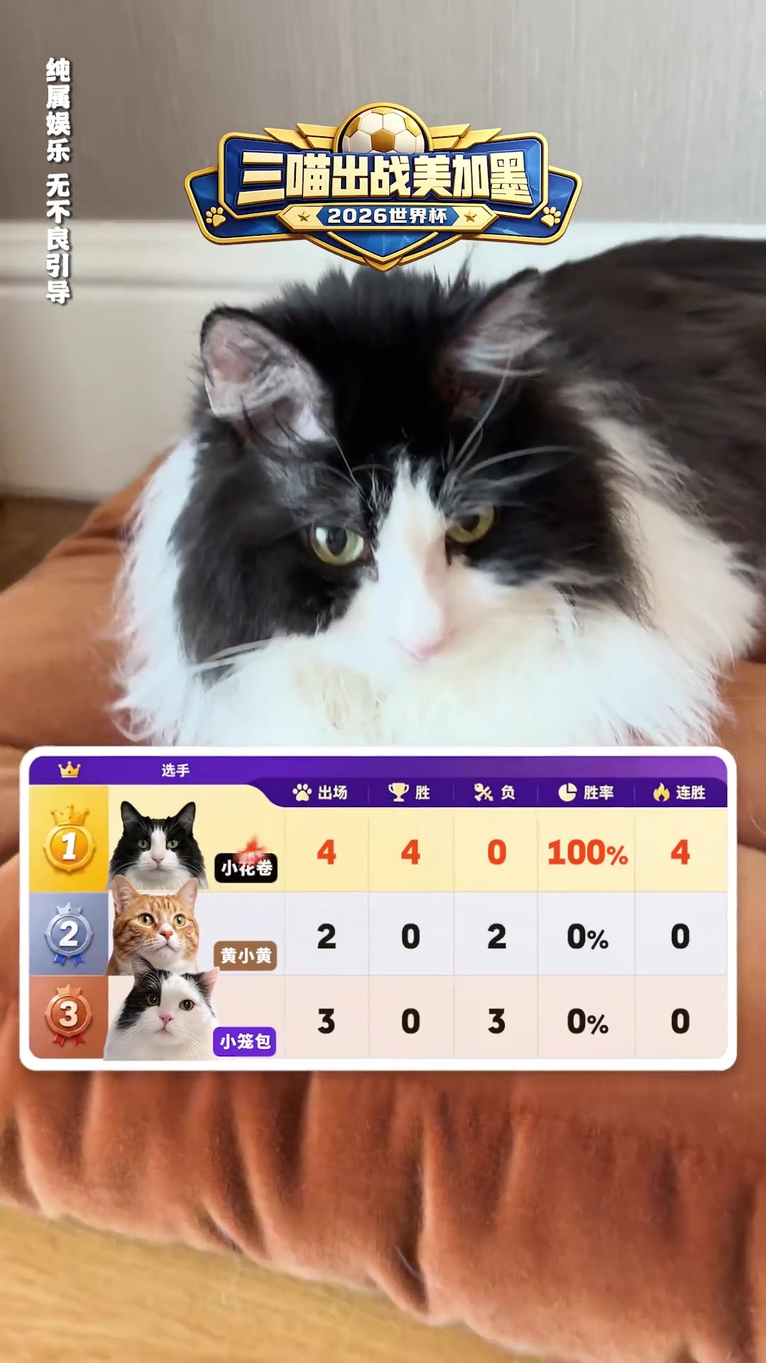 【今日冲击镜头】詹俊的猫神了！预测6⚾场比赛100%胜率⬆️