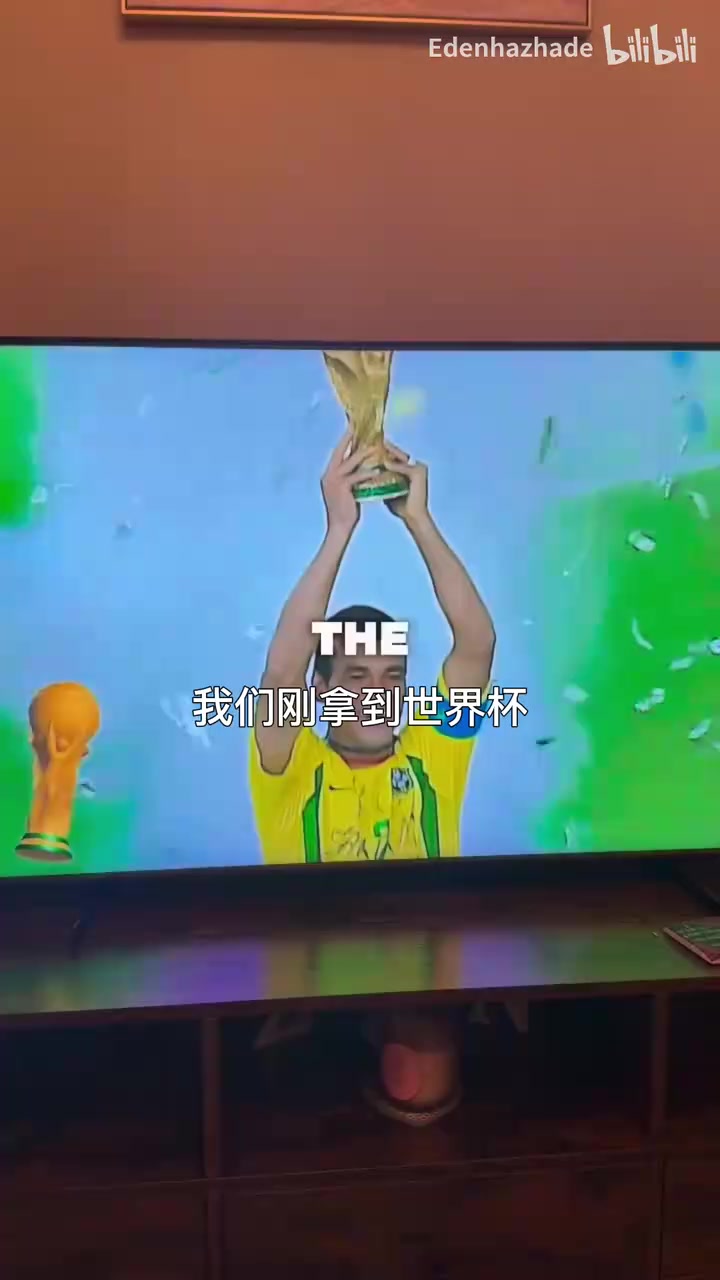 [集锦]你敢相信吗？网友恶搞：穿越回到2002年巴西队球迷！
