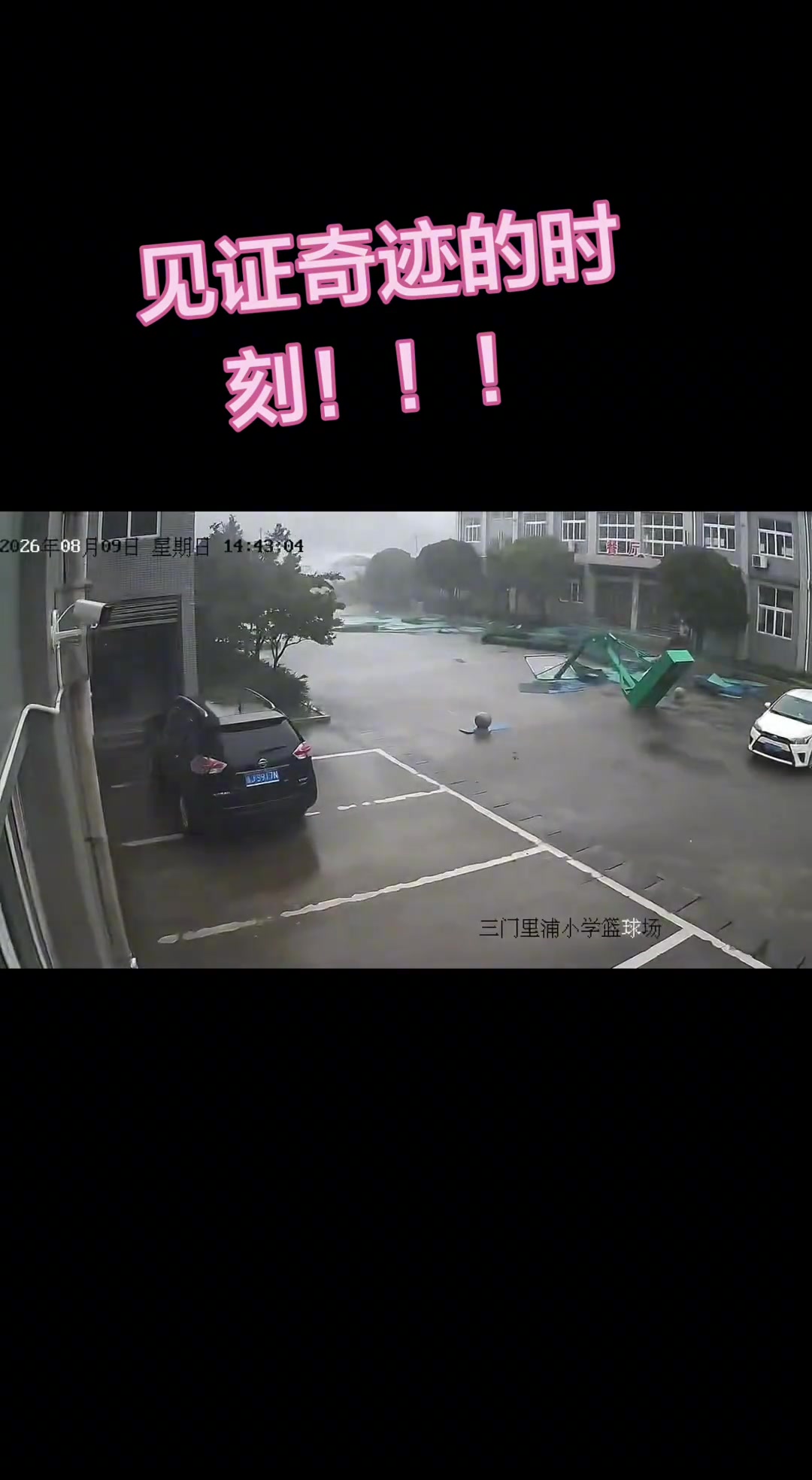 【赛事影像】神奇的台风！⚾白海豚太厉害了 台州市❕小学的⬅️