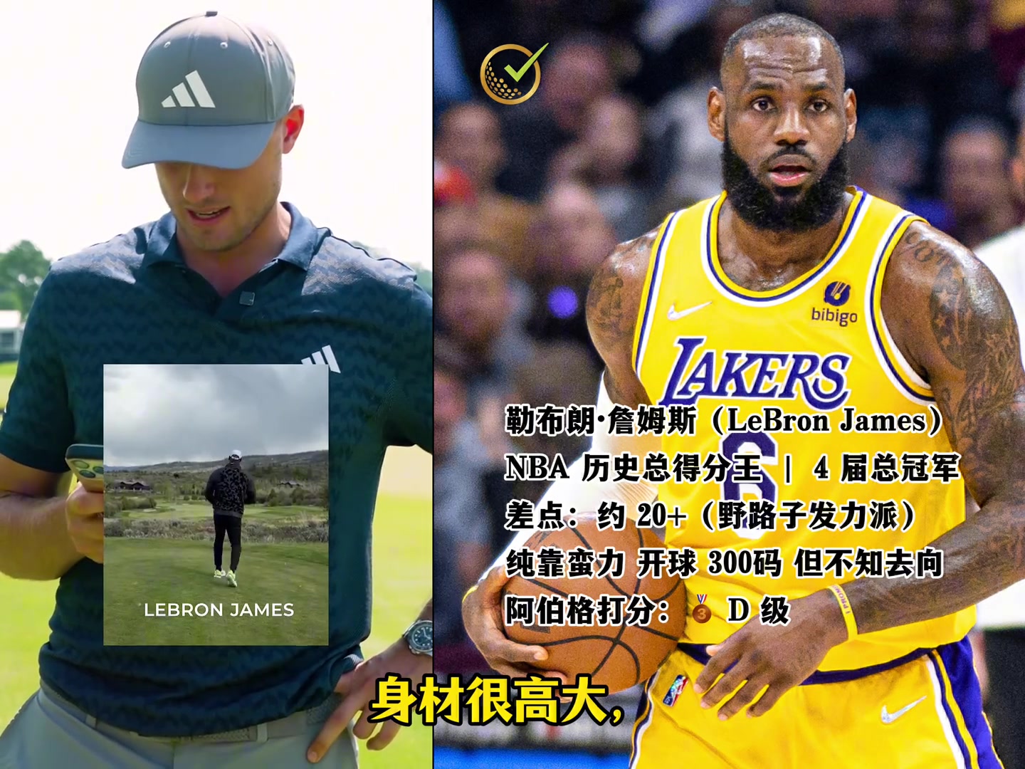 【关键镜头回放】阿伯格给12 位文体巨星挥杆排梯队！ 詹姆斯惨遭D级，库里乔丹A级