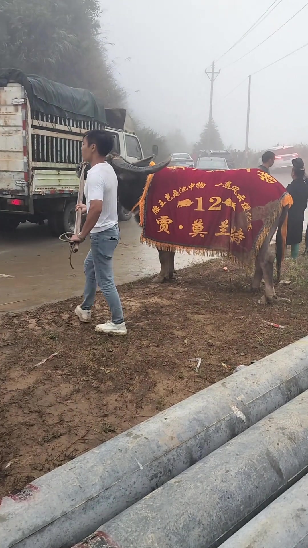 [赛场新说]什么？“贾 莫兰特”以20W年薪加入贵州斗牛士，