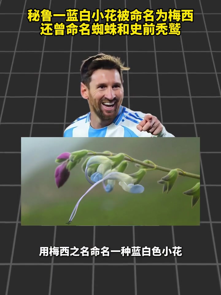 [技术集锦]秘鲁一蓝白小花被命名为梅西，还曾命名蜘蛛和史前秃