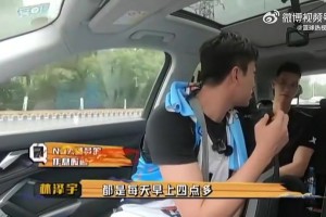 绿茵 svideo