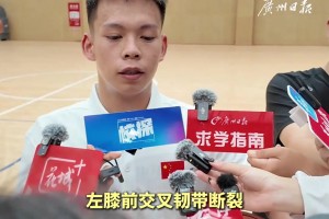 绿茵 svideo