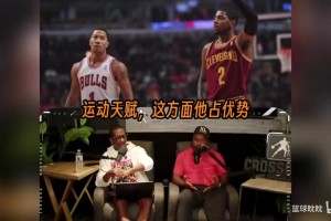 绿茵 svideo