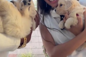 绿茵 svideo