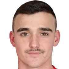 阿尔丁·拜蒂奇
